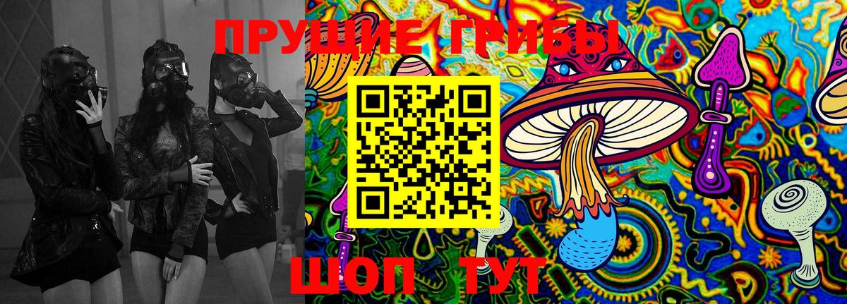 Псилоцибиновые грибы Cubensis  Вход с VPN  Юрга 